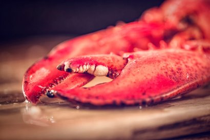 Lobster & Champagne Gourmet Dinner Thursday 25th July 2024 Fully Booked